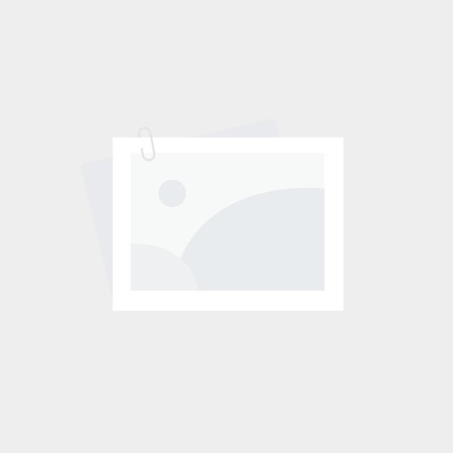 国产无玛,引领绿色出行新潮流